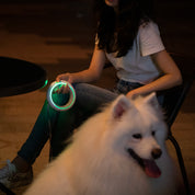 Moestar UFO Retractable Dog Leash