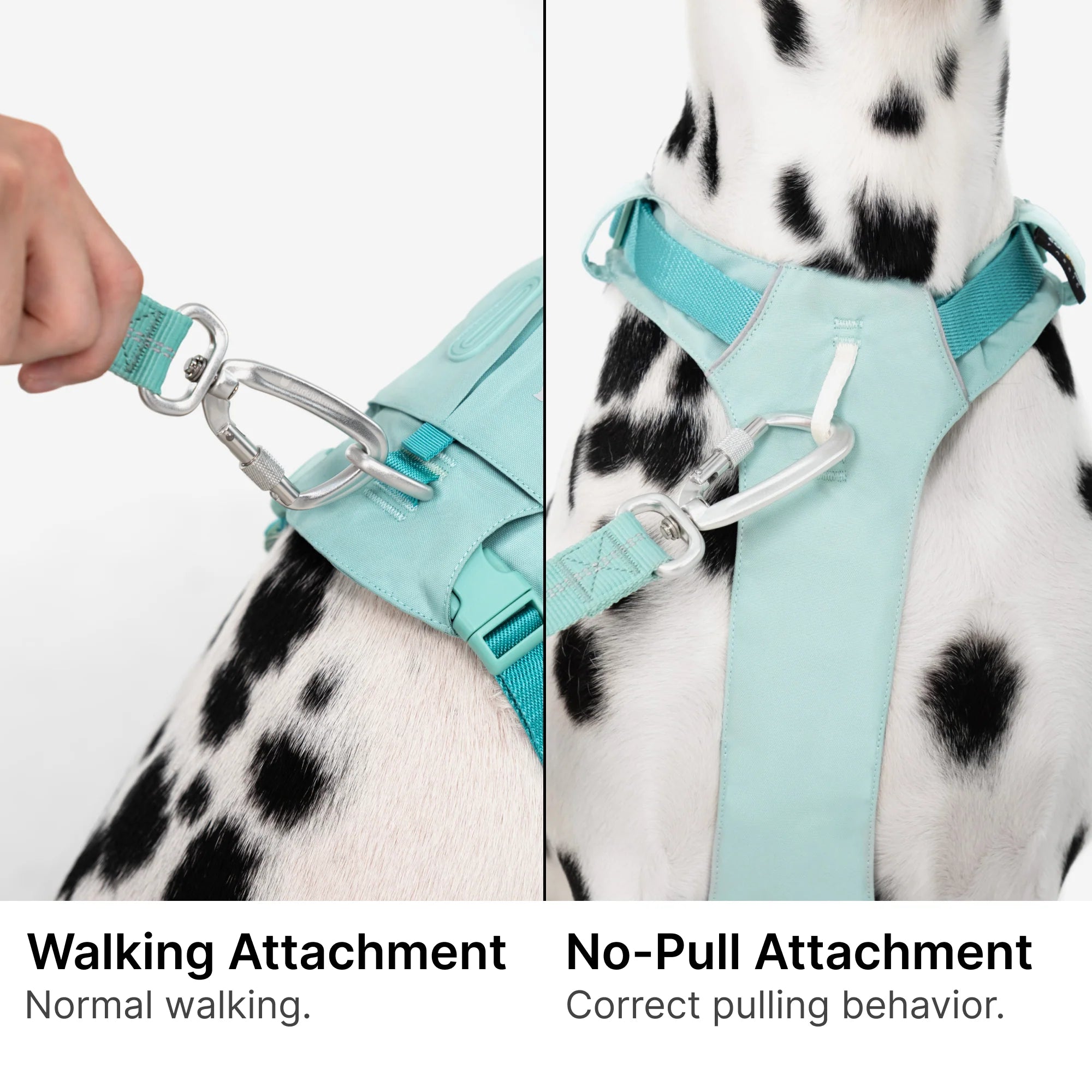 BuddyArmor Pet Harness with Pocket