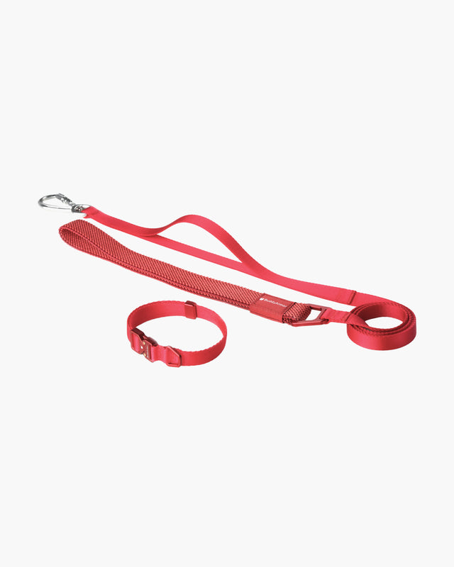 BuddyArmor  Light Alloy Collar Pro + Light Alloy Leash