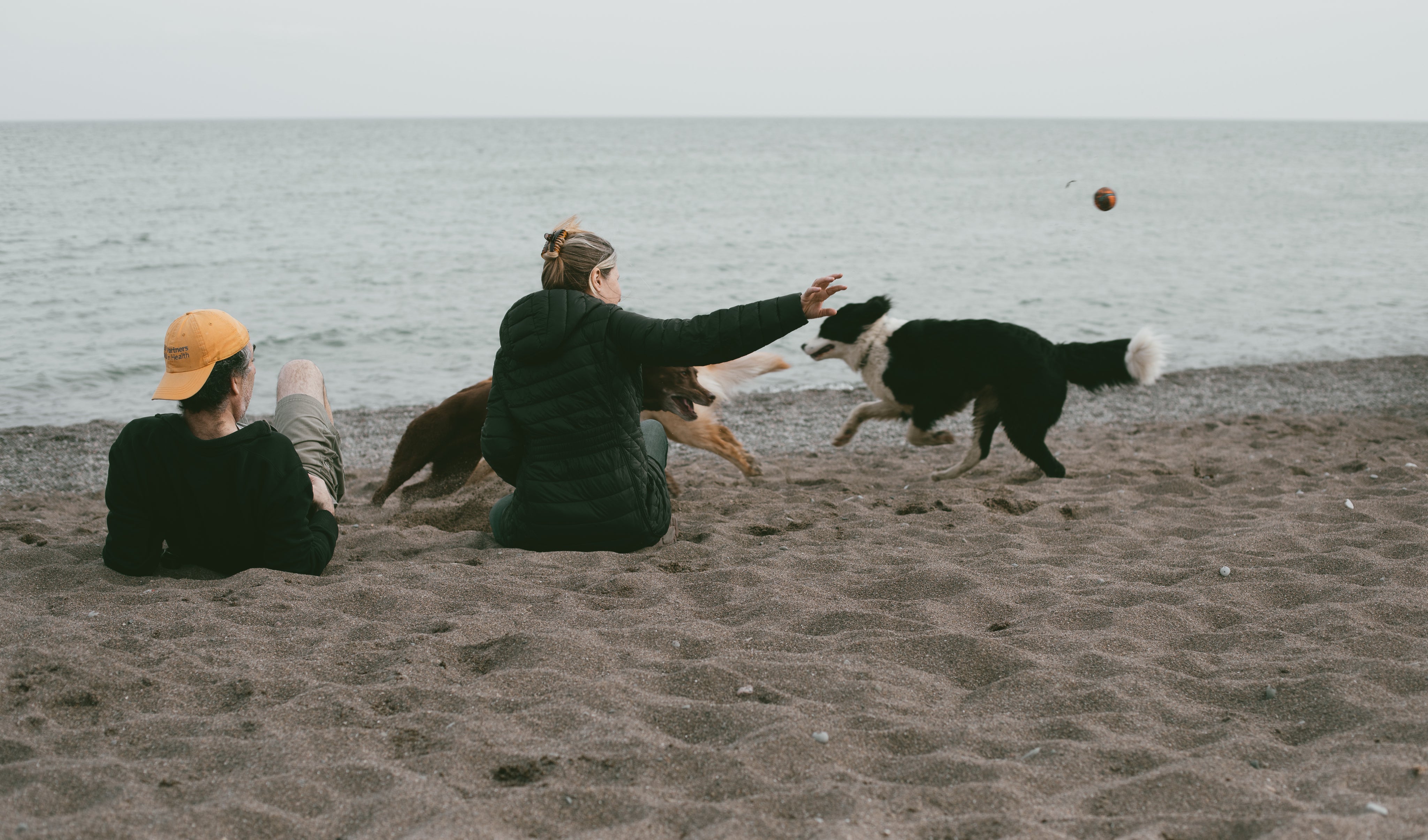 two-people-sit-on-a-beach-throwing-a-ball-for-two-dogs.jpg